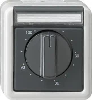 Gira 032130, timer switch 2-pole 120 min BSF WG, surface-mounted, gray