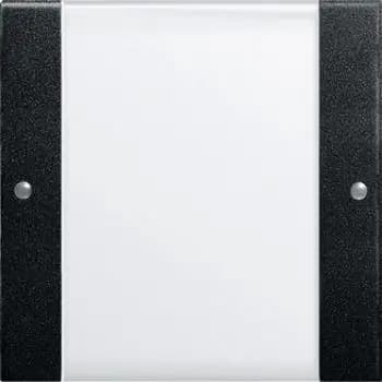 Gira 2131005, 1-gang rocker set BSF System 55 Clear/Black m