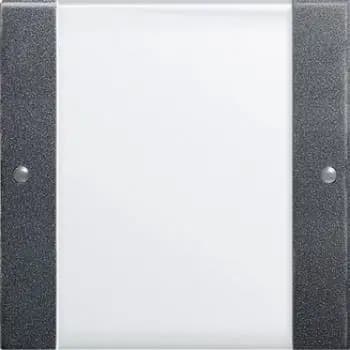 Gira 213128, rocker set 1f BSF System 55 clear/anthracite