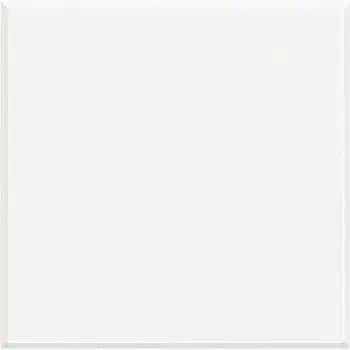 Bticino HD4951 2M white blanking cover (HD4951)