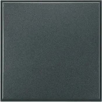 Bticino 2-module blanking cover (HS4951)