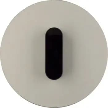 Berker 1001208400, cover plate with knob R.Clas. aluminium black