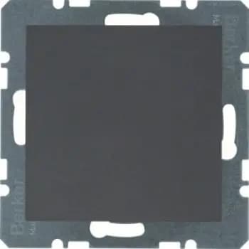 Berker 10091606, blanking plate with ZS B.3/B.7 anthracite matt