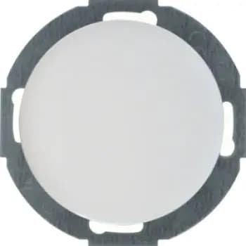 Berker 10092079, blanking plate with ZS, R.Classic series, pw