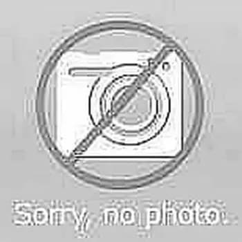 Assa 1705 RR FAFIX Diode HZ 021 EST door opener (1705RR-02135E41)